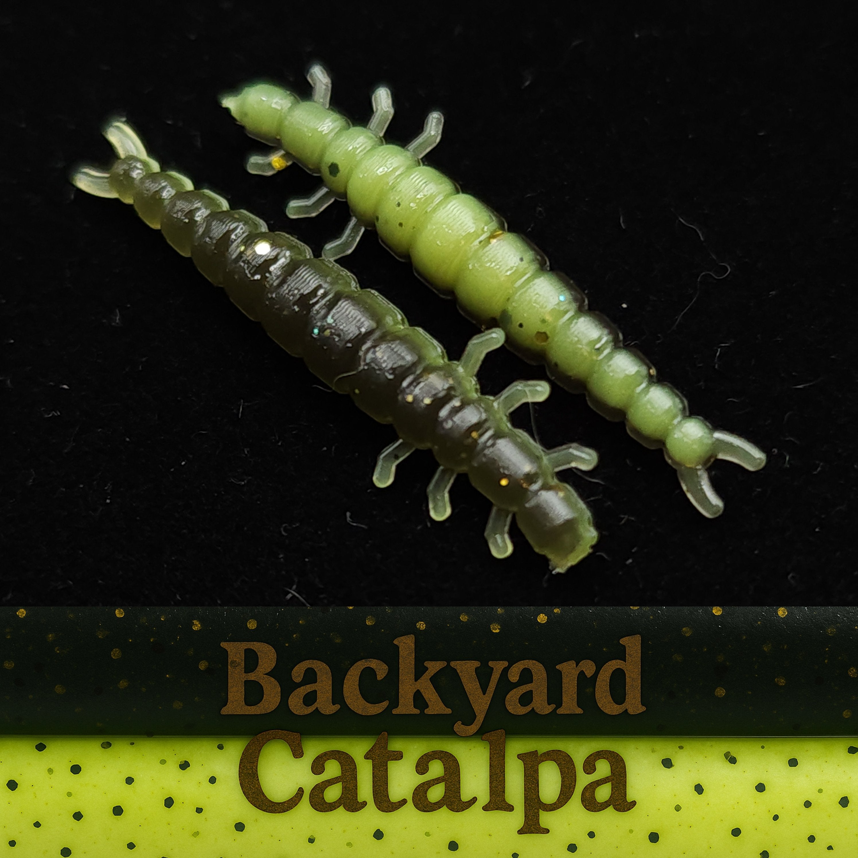 Jar of 1.3" Caddis Fly Larvae "Stream Weaver"
