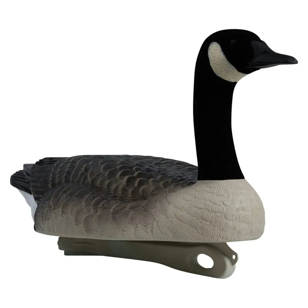 Rugged Series Canada Goose Floaters Touchdown Decoys – Flocked Head 6 Pack
