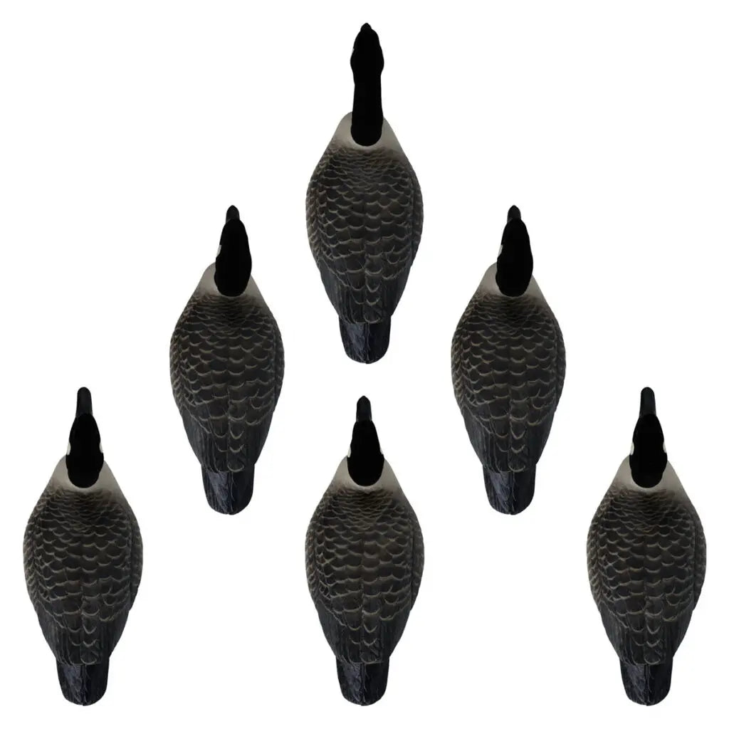 Rugged Series Canada Goose Floaters Touchdown Decoys – Flocked Head 6 Pack